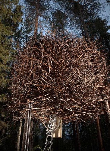 Tree-Hotel-Birds-Nest
